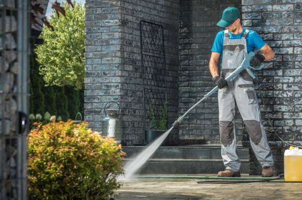 Boat and Dock Cleaning in Pine Hills, CA