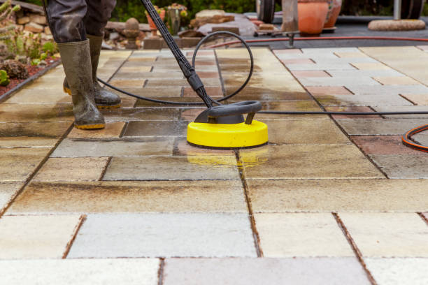Best Solar Panel Cleaning  in Pine Hills, CA