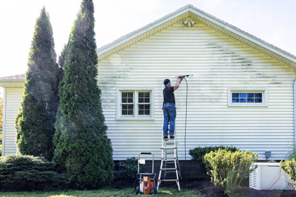 Best Patio and Deck Pressure Washing  in Pine Hills, CA